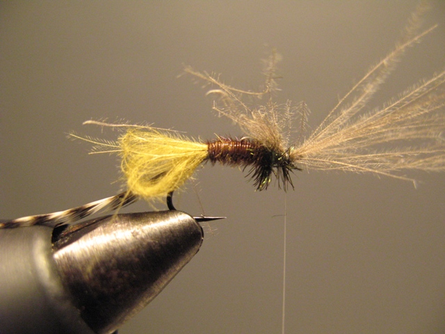 CDC Loop Midge
