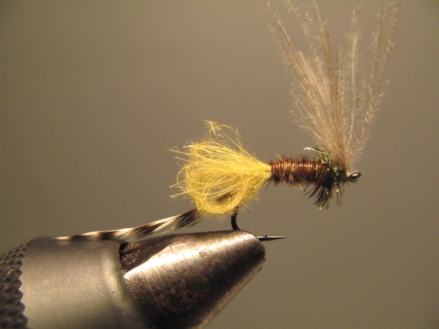 CDC Loop Midge