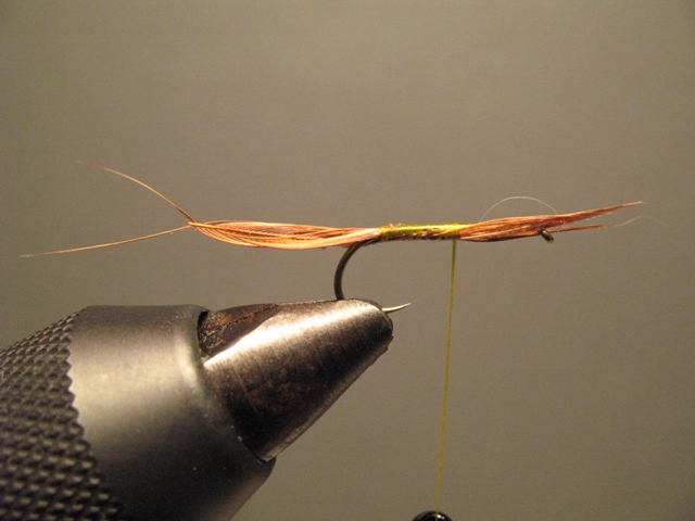 CDC Loop Stillborn Dun Emerger