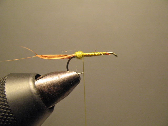 CDC Loop Stillborn Dun Emerger