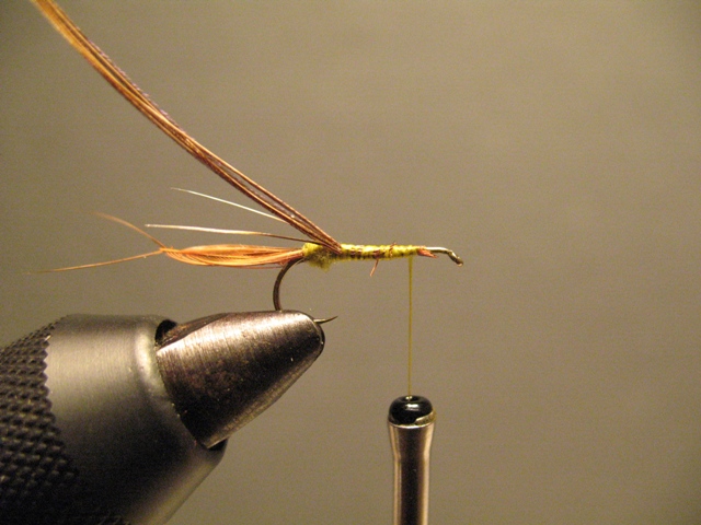 CDC Loop Stillborn Dun Emerger