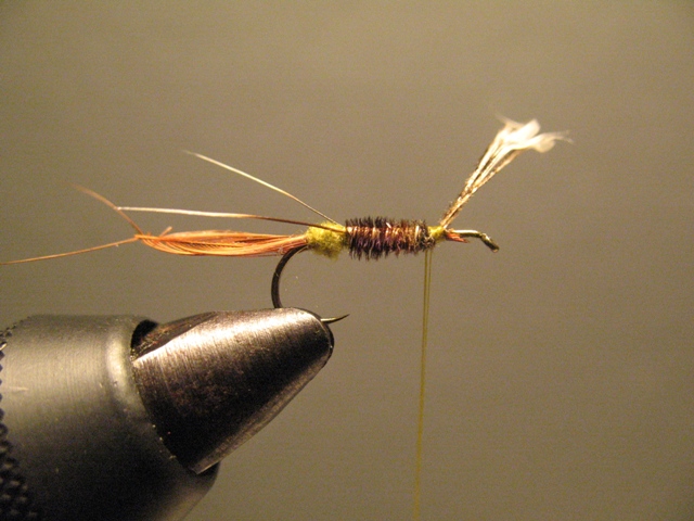 CDC Loop Stillborn Dun Emerger