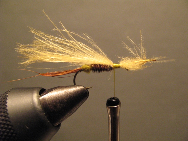 CDC Loop Stillborn Dun Emerger
