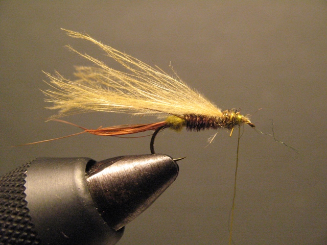 CDC Loop Stillborn Dun Emerger