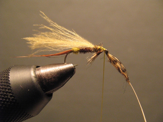 CDC Loop Stillborn Dun Emerger
