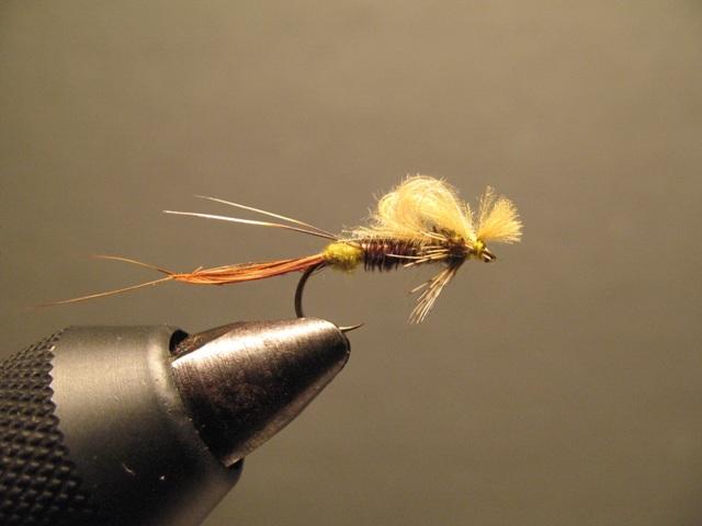 CDC Loop Stillborn Dun Emerger