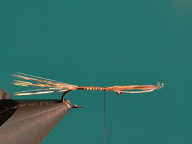 CDC MayFly