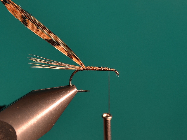 CDC MayFly