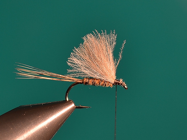 CDC MayFly