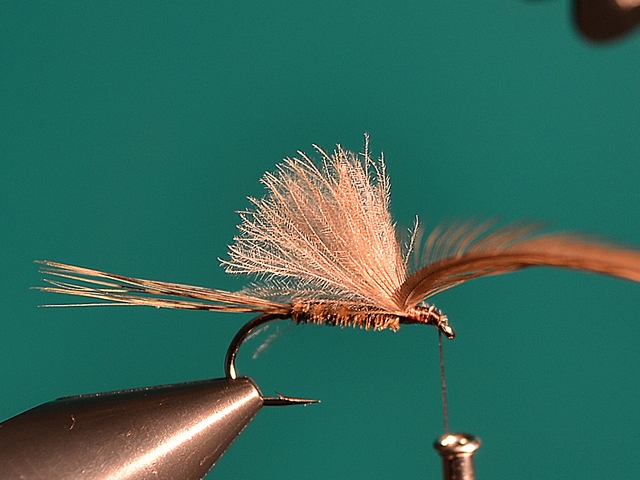 CDC MayFly