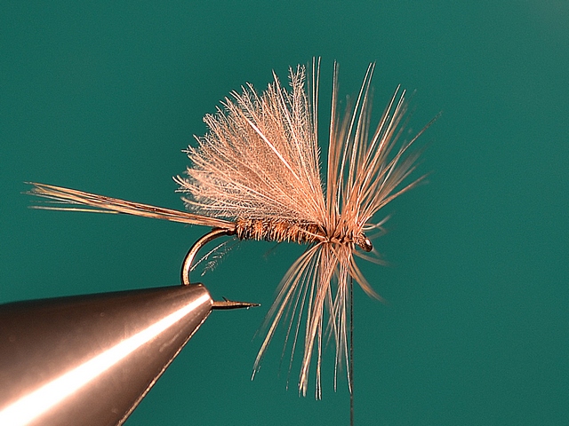 CDC MayFly