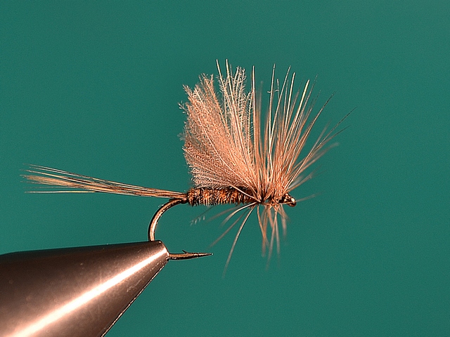 CDC MayFly