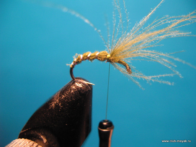 сухая мушка CDC Sedge Hatcher