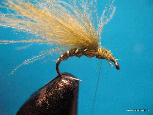 сухая мушка CDC Sedge Hatcher