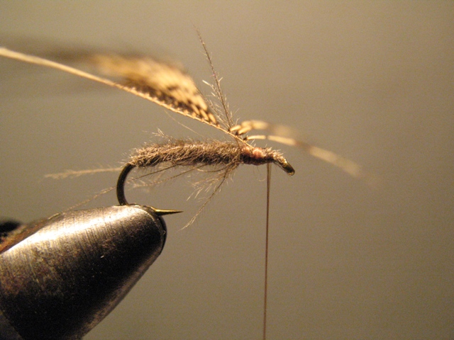 CDC Soft