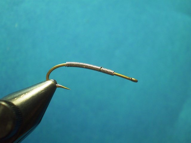  Нимфа Caddis Larvaе VW