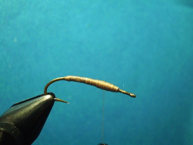  Нимфа Caddis Larvaе VW