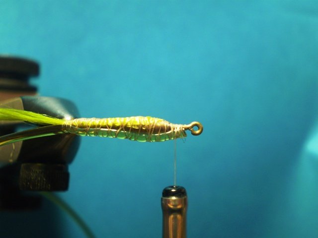  Нимфа Caddis Larvaе VW
