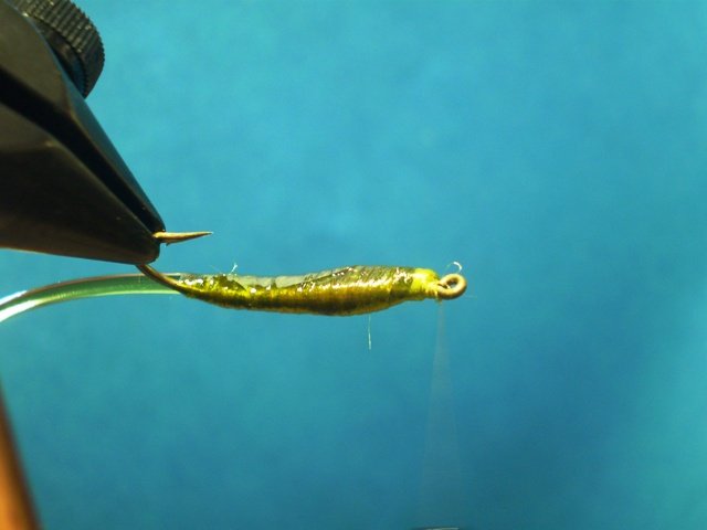  Нимфа Caddis Larvaе VW