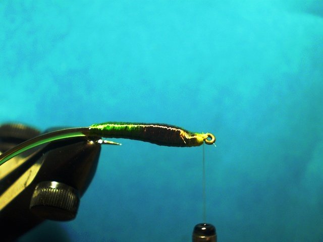  Нимфа Caddis Larvaе VW