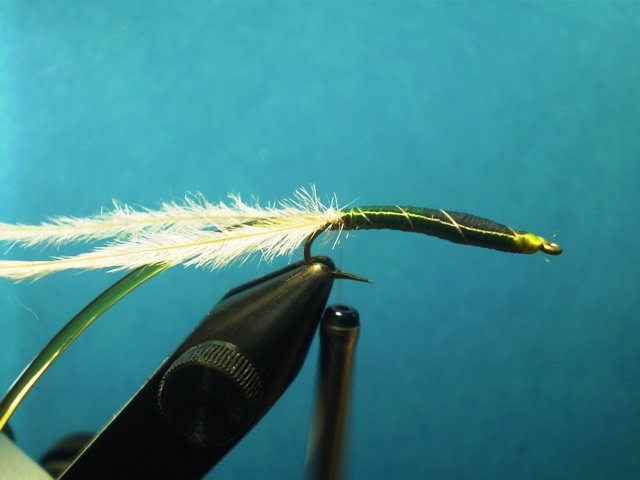  Нимфа Caddis Larvaе VW