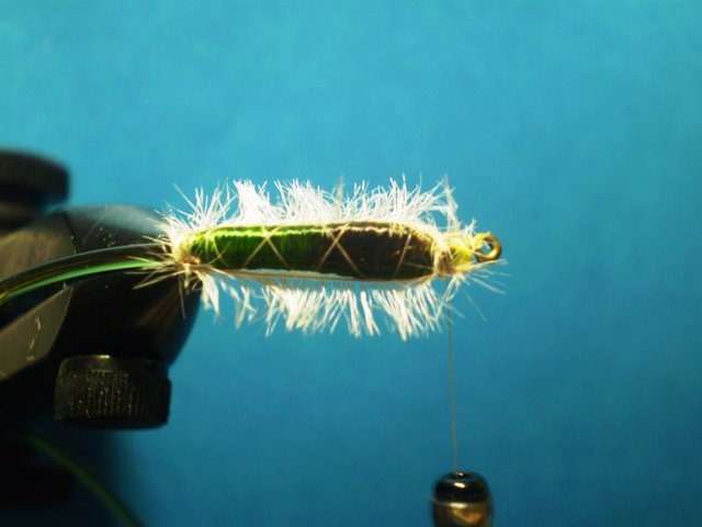  Нимфа Caddis Larvaе VW