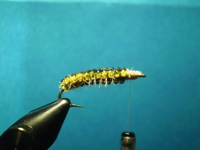  Нимфа Caddis Larvaе VW