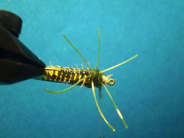  Нимфа Caddis Larvaе VW