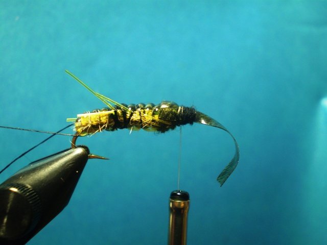  Нимфа Caddis Larvaе VW