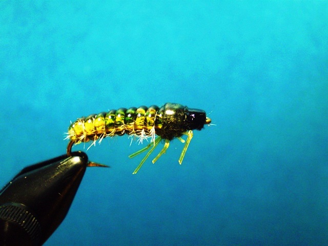  Нимфа Caddis Larvaе VW