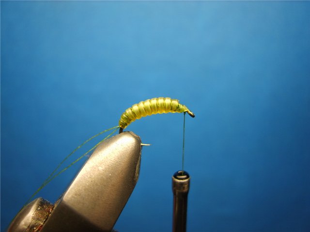 Нимфа Caddis Larvae Olive 777 