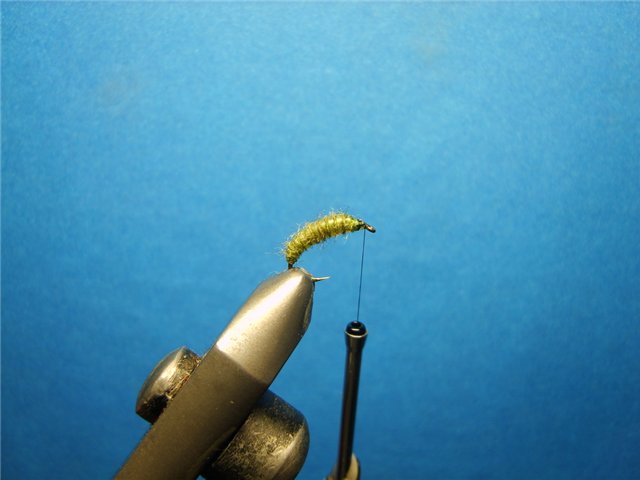 Нимфа Caddis Larvae Olive 777 