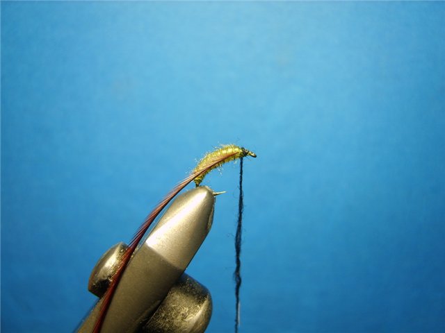 Нимфа Caddis Larvae Olive 777 