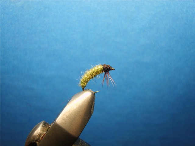 Нимфа Caddis Larvae Olive 777 