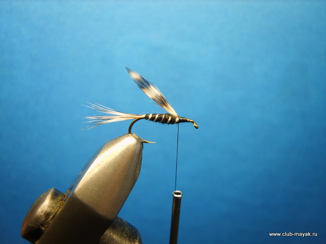 Сухая мушка California Mosquito