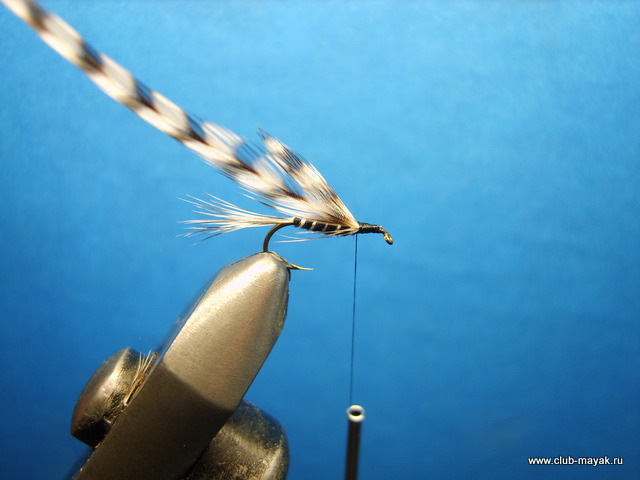 Сухая мушка California Mosquito