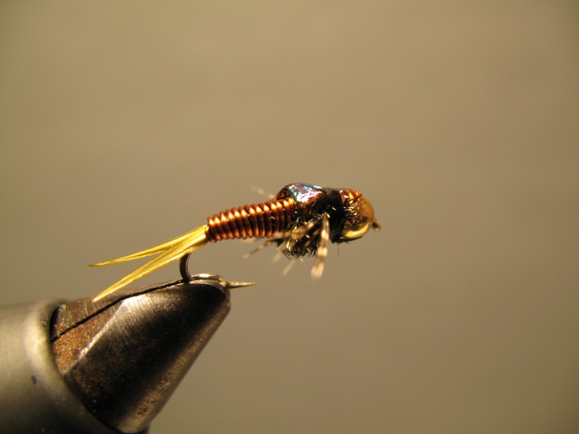 Copper John