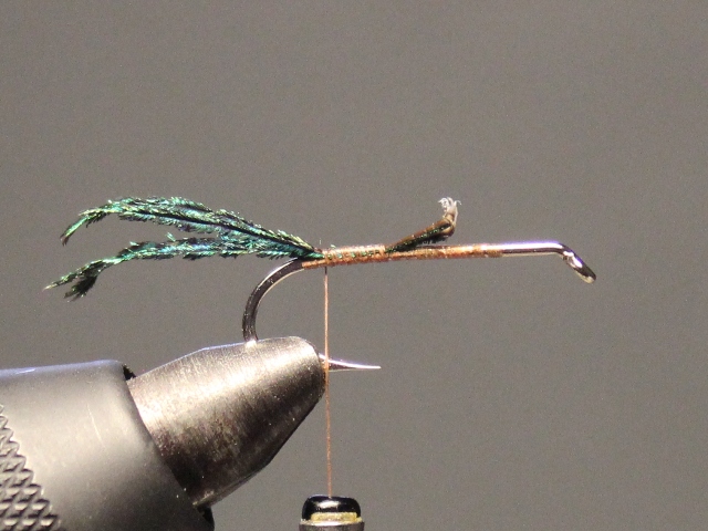 Dumbell Zug Bug