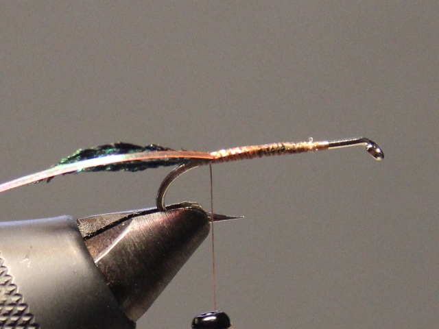 Dumbell Zug Bug