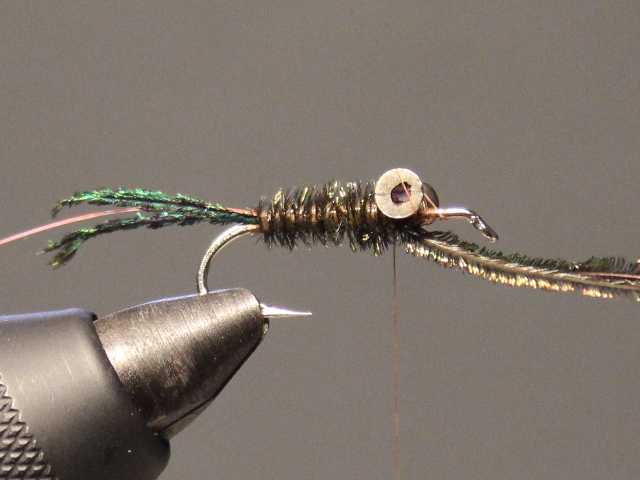 Dumbell Zug Bug