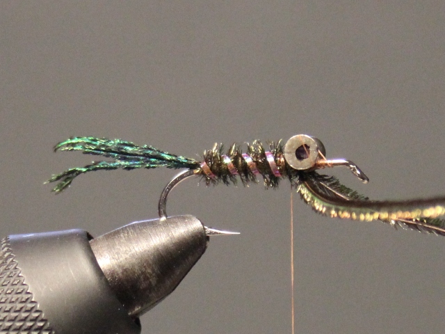 Dumbell Zug Bug