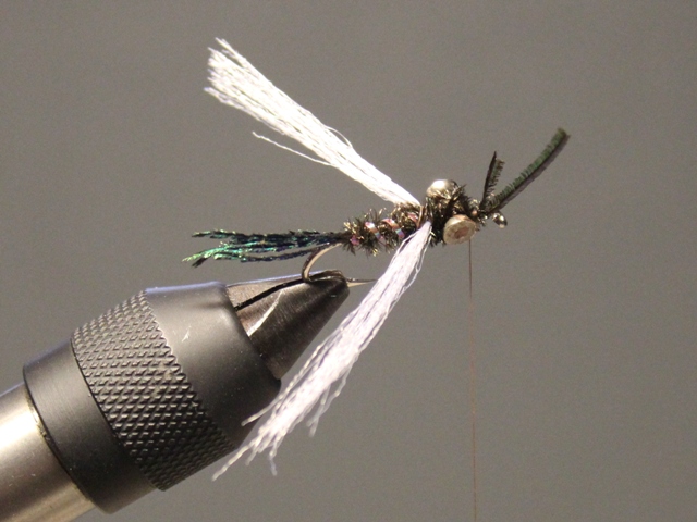 Dumbell Zug Bug