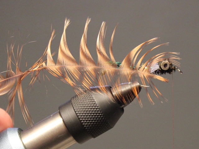 Dumbell Zug Bug