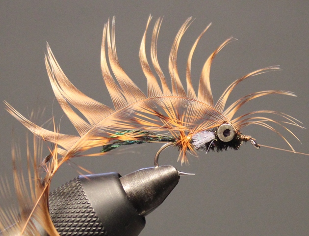Dumbell Zug Bug