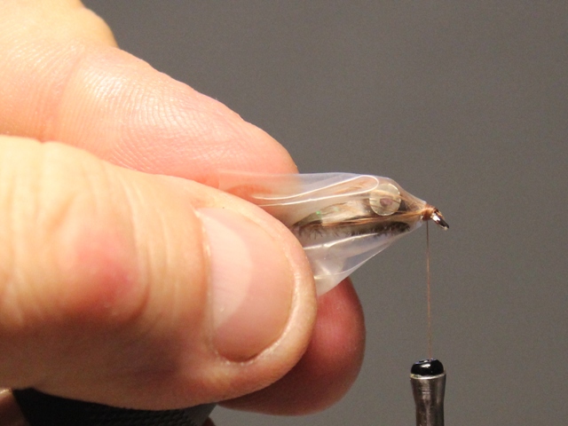Dumbell Zug Bug