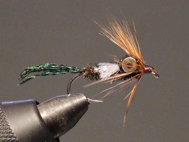 Dumbell Zug Bug