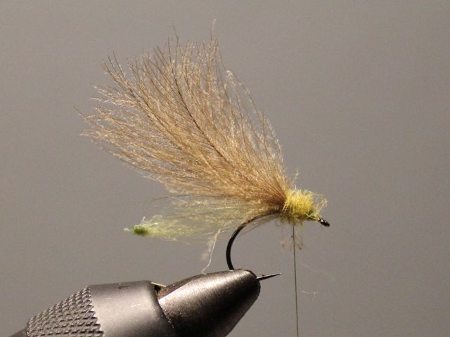 Emerger ala Roman Mozer