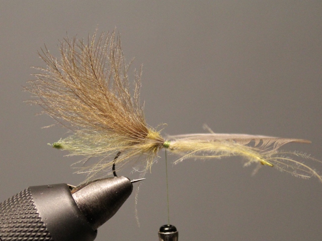 Emerger ala Roman Mozer