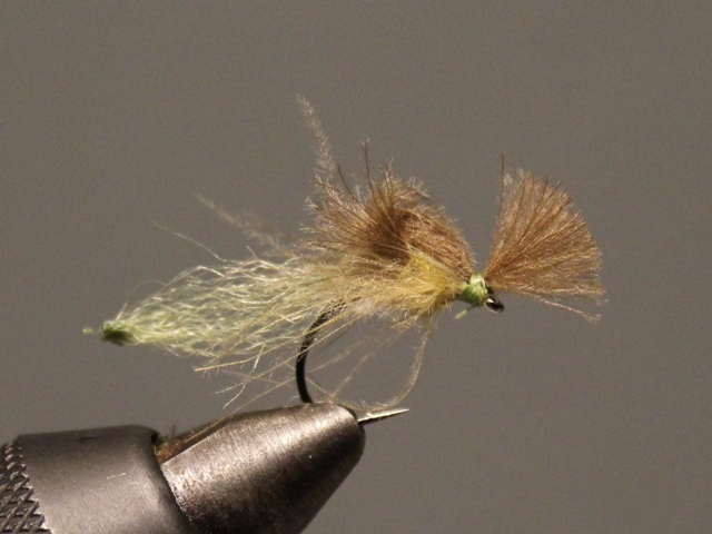Emerger ala Roman Mozer