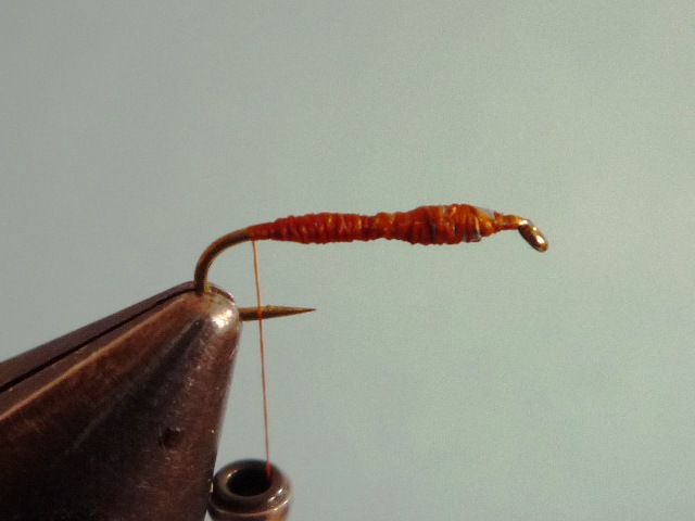Ephemerella Nymph